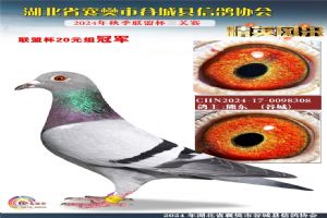 ����ʡ�差�йȳ����Ÿ�Э��