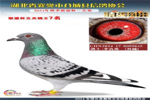 ����ʡ�差�йȳ����Ÿ�Э��