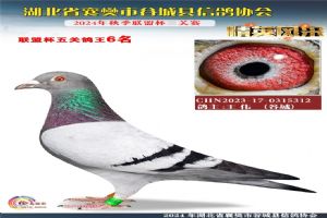 鿴øϸ..