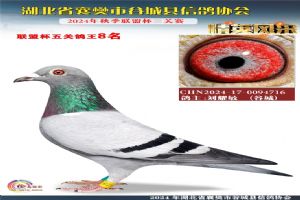 鿴øϸ..
