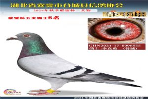 鿴øϸ..