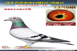 鿴øϸ..
