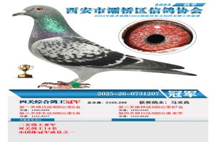 ������������Ÿ�Э��