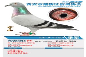 ������������Ÿ�Э��