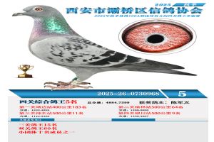 ������������Ÿ�Э��