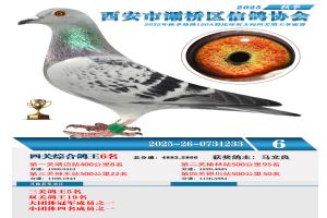 ������������Ÿ�Э��