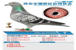 ������������Ÿ�Э��