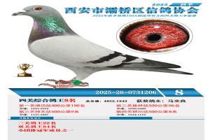 ������������Ÿ�Э��