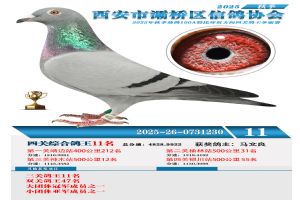 ������������Ÿ�Э��