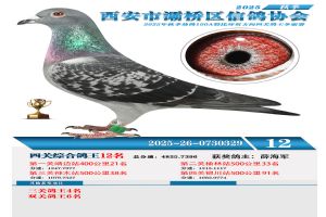 ������������Ÿ�Э��