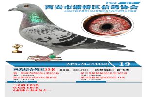 ������������Ÿ�Э��