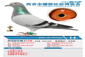 ������������Ÿ�Э��