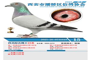 ������������Ÿ�Э��