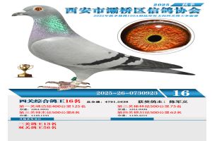 ������������Ÿ�Э��