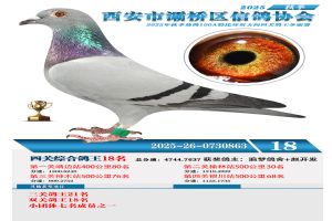 ������������Ÿ�Э��