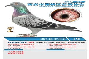 ������������Ÿ�Э��