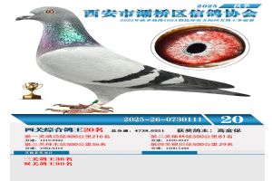 ������������Ÿ�Э��