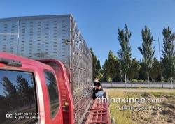 ���Ǹ��9��10��150����ѵ��7��35���������Ͽ���