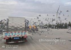 ���Ǹ��10��13��320���500�رȵ�һ�أ�7.00�ھ�¹����