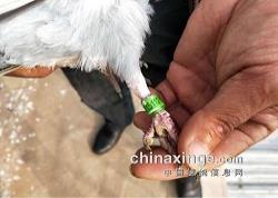 ���ظ��500����ǰʮ������ͼƬ