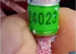 2020��������Ÿ�Э��560�����رȻ�������-����ǰʮ