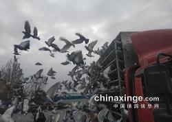 ���Ǹ��26��100����ѵ��8.20���ڶ��˷���������