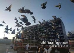 ���Ǹ��12��3��150����ѵ��8.15���ڱ�������������