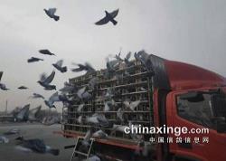 ���Ǹ��9��100����ѵ��7.50���ڶ��˷���������