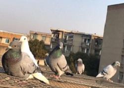 ���Ǹ��22�괺��200�رȻ�550����������