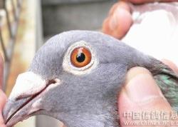 ת���麣�������ֹ��������֯����2021�괺���ڼ�������ع�����֪ͨ