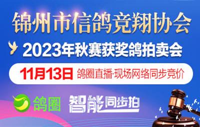 锦州市信鸽竞翔协会11月13日鸽圈智能同步拍卖公告