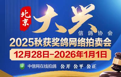 �����д������Ÿ�Э��2025��12��28��-2026��1��1��������������