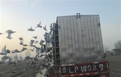 �������ǵ�ʮ��Ԫ����˫��������