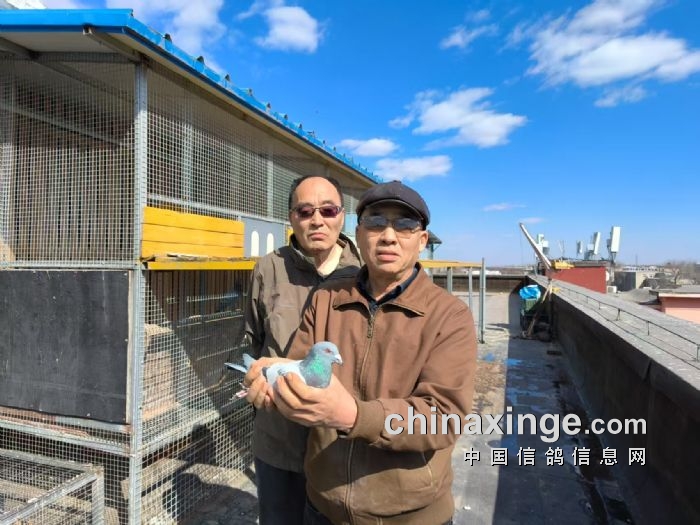 北京市信鸽协会=北京市信鸽协会会员证