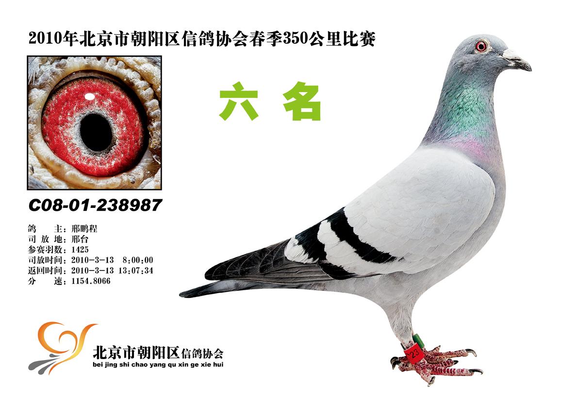 协会首页本协会信息版已被访问3427377次粉丝信息北京市朝阳区信鸽