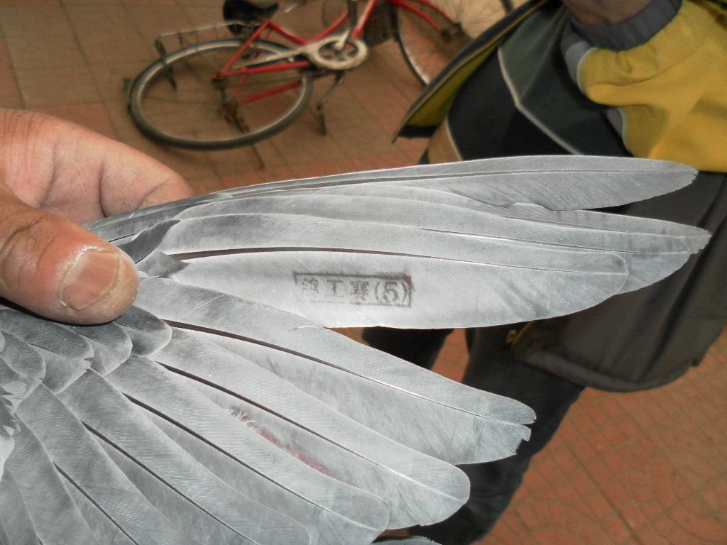 �����ȫͼ