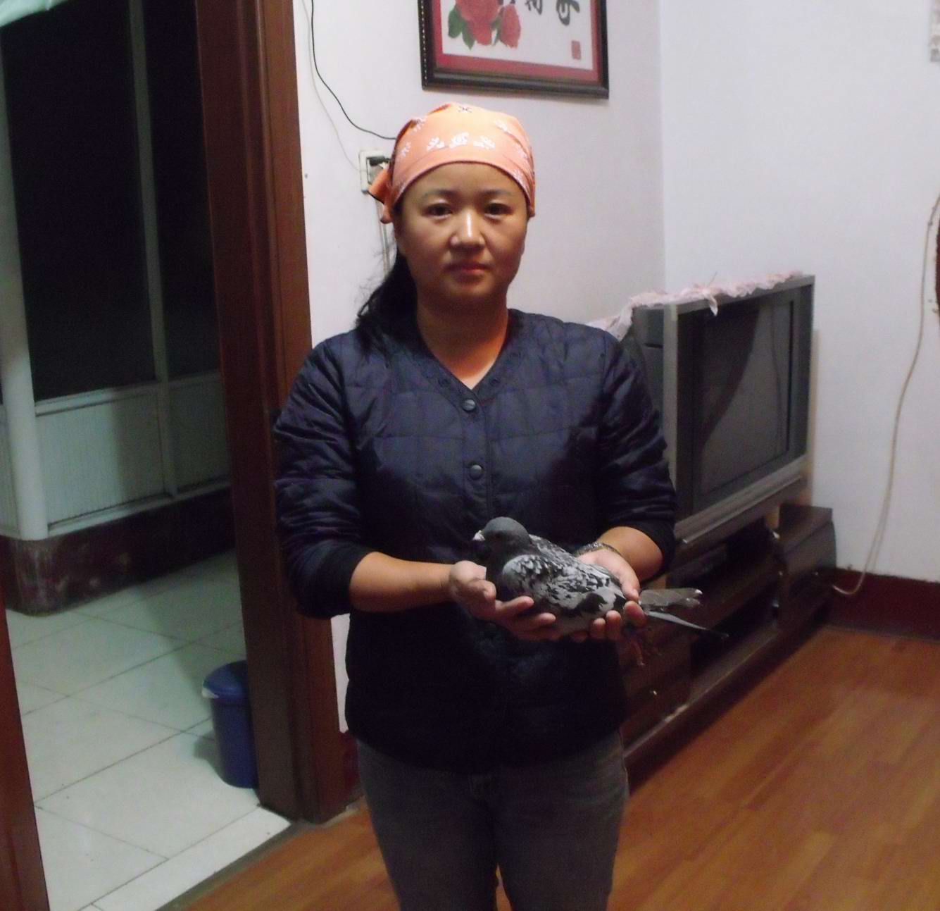 500公里第二站亚军三关亚军鸽主崔志刚