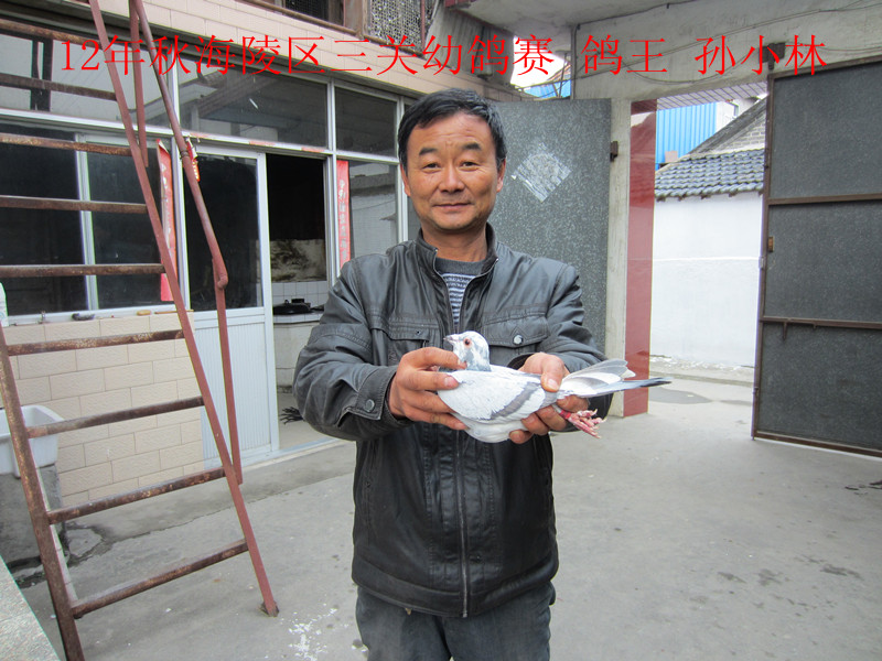 �����ȫͼ