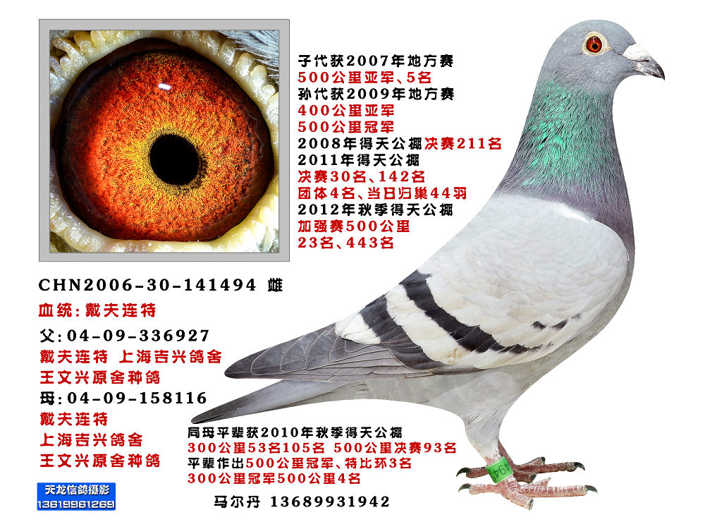 戴夫连特