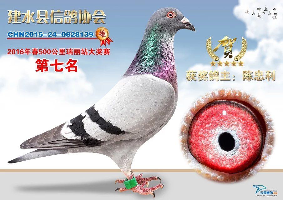 协会首页本协会信息版已被访问236777次粉丝信息云南省红河州建水县