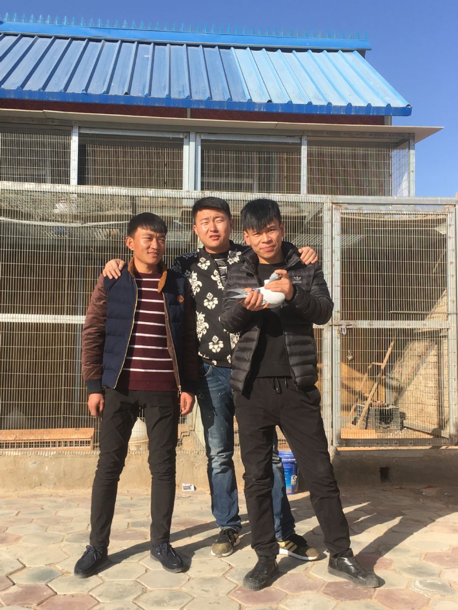 已加协会 在线售环 售环订单 宁夏吴忠市韦州镇信鸽协会 444