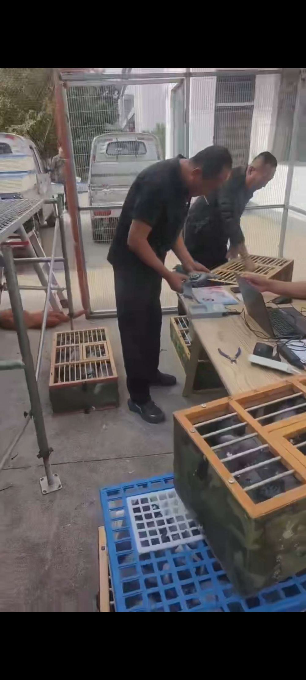 �����ȫͼ