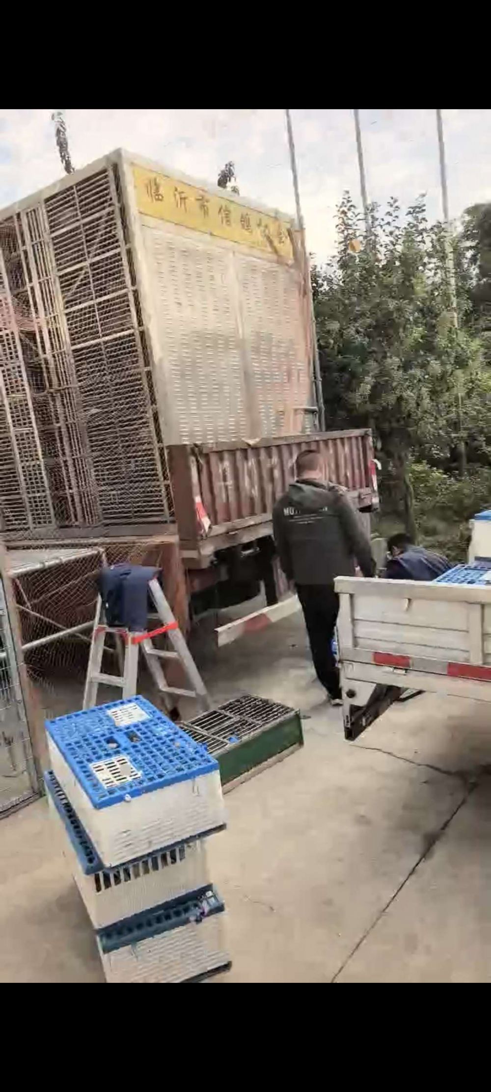 �����ȫͼ