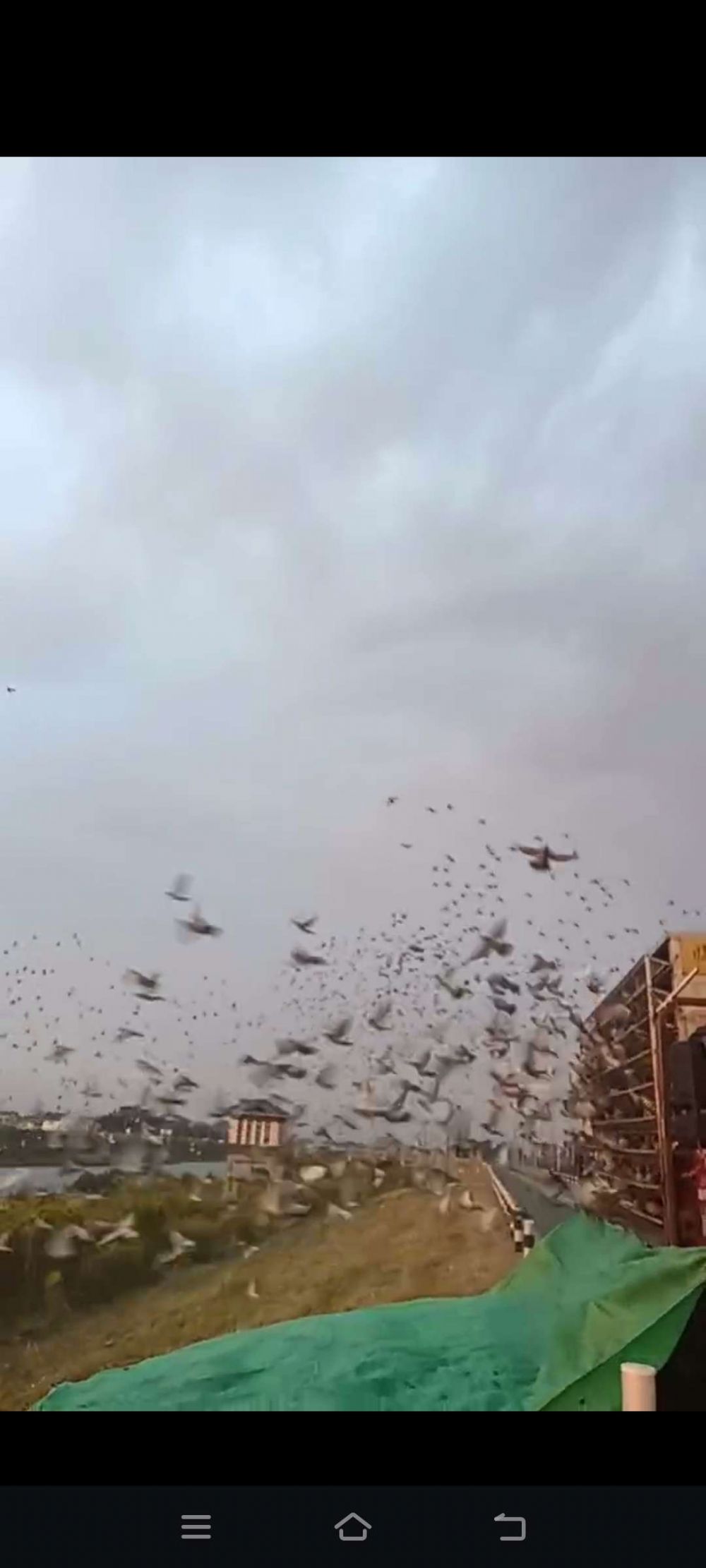 �����ȫͼ