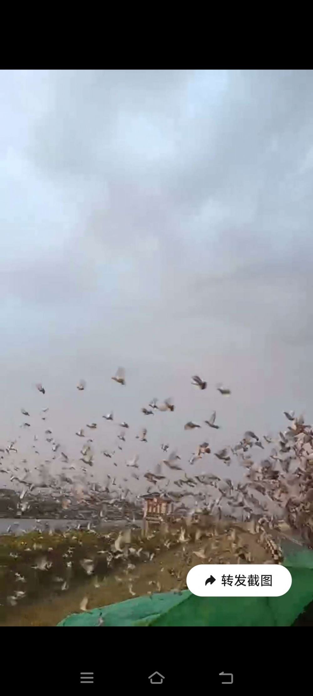 �����ȫͼ