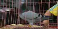 �Ĵ�ʡ�˱�����Ϫ���Ÿ�Э��