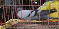 �Ĵ�ʡ�˱�����Ϫ���Ÿ�Э��