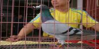 �Ĵ�ʡ�˱�����Ϫ���Ÿ�Э��