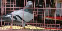 �Ĵ�ʡ�˱�����Ϫ���Ÿ�Э��