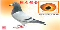 ������ʡ�绯���������Ÿ�Э��